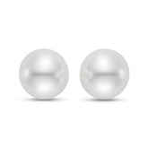 White South Sea Cultured Pearl Stud Earrings in 14K White Gold - Isaac Westman - 2
